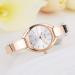 LVPAI Watches Gold Silver Women Bracelet Dress Quartz Clock Stainless Steel Band Gift Relogio Feminino CF
